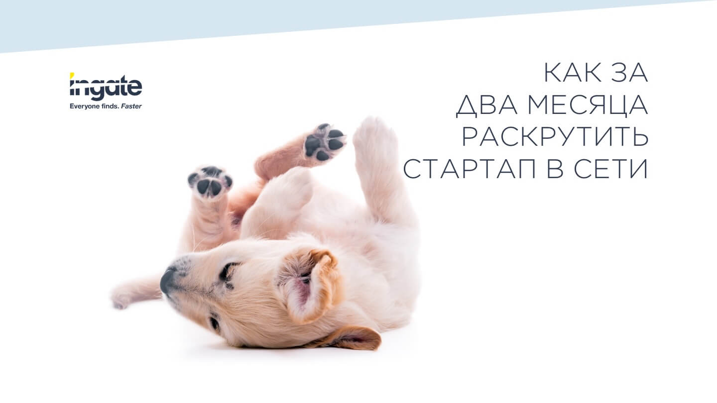 Продвижение сайта Etopet: страница №1