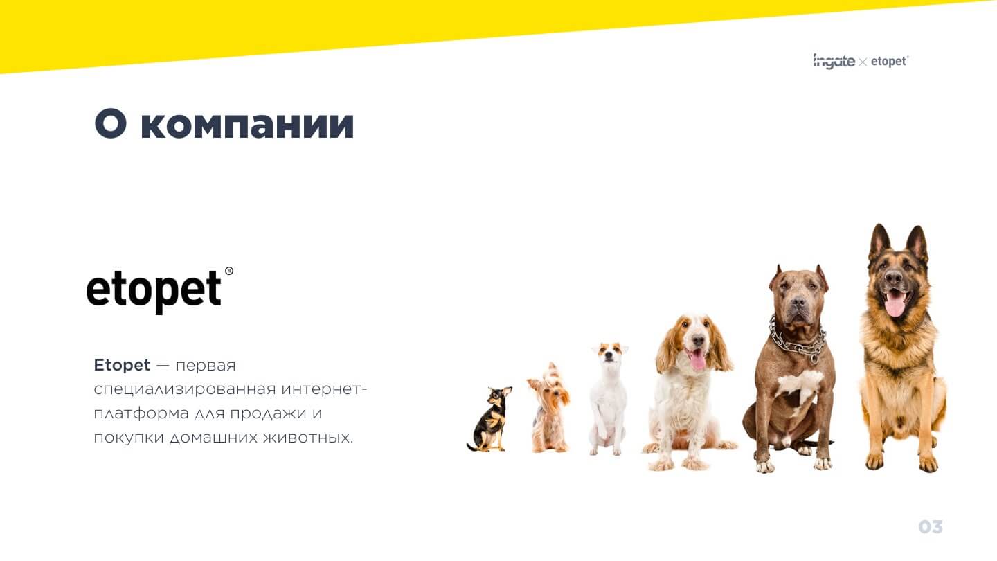 Продвижение сайта Etopet: страница №2